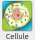 Application Cellule